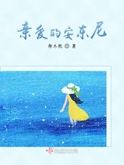 《亲爱的安东尼》小说封面