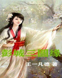 《彭城三圆缘》小说封面