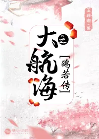 《大航海之鸥若传》小说封面