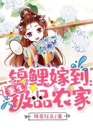 《锦鲤嫁到:重生极品农家》小说封面