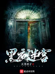 《黑夜迷宫》小说封面