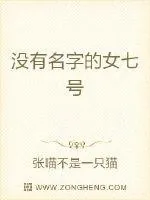 《没有名字的女七号》小说封面