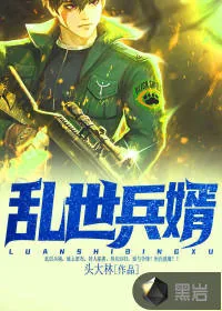 《乱世兵婿》小说封面