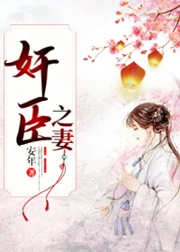 《奸臣之妻》小说封面