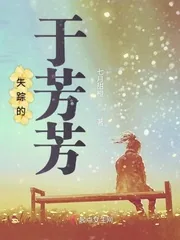 《失踪的于芳芳》小说封面