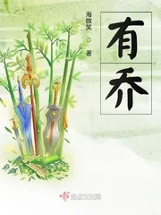 《有乔》小说封面