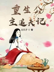《重生公主追夫记》小说封面