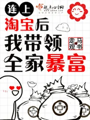 《连上淘宝后我带领全家暴富》小说封面
