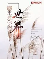 《我来过你的世界》小说封面