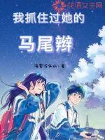 《我抓住过她的马尾辫》小说封面