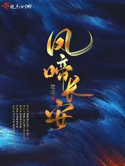 《凤啼长安》小说封面