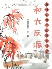 《和大反派度过灾难年的那些日子》小说封面