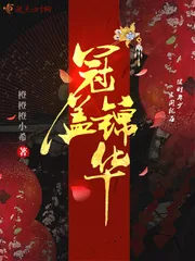 《冠盖锦华》小说封面
