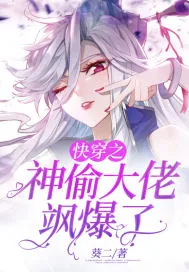 《快穿之神偷大佬飒爆了》小说封面