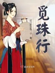 《觅珠行》小说封面