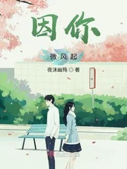 《因你！微风起》小说封面