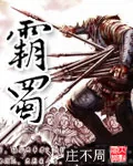 《霸蜀》小说封面