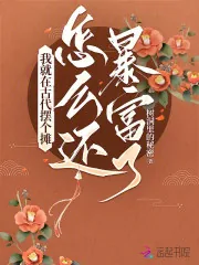 《我就在古代摆个摊,怎么还暴富了》小说封面