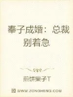 《奉子成婚:总裁别着急》小说封面