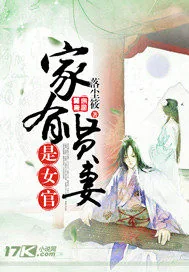 《家有贤妻是女官》小说封面