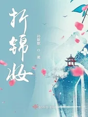 《折锦妆》小说封面