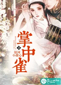 《掌中雀》小说封面