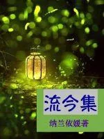《流今集》小说封面