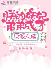 《朕的妖妃弟弟成了反派大佬》小说封面