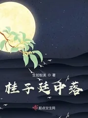 《桂子廷中落》小说封面