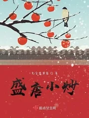 《盛唐小炒》小说封面