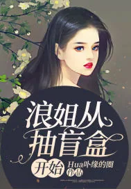 《浪姐从抽盲盒开始》小说封面