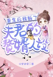 《重生后我拆了夫君的赘婿人设》小说封面