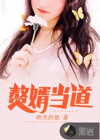 《岳风柳萱》小说封面