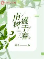 《南树盛于春》小说封面