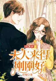 《夫人来得刚刚好》小说封面