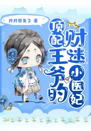《顶配王爷的财迷小医妃》小说封面
