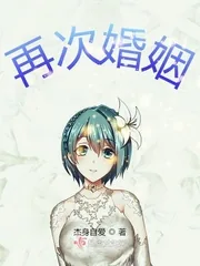 《再次婚姻》小说封面