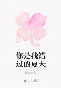 《你是我错过的夏天》小说封面
