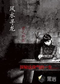 《风水寻龙》小说封面