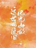 《这世间依旧风光如故》小说封面