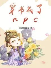 《穿书成了npc》小说封面