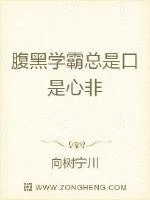 《腹黑学霸总是口是心非》小说封面