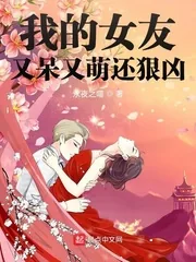 《我的女友又呆又萌还狠凶》小说封面