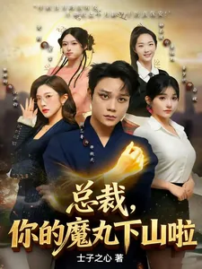 《总裁,你的魔丸下山啦》小说封面