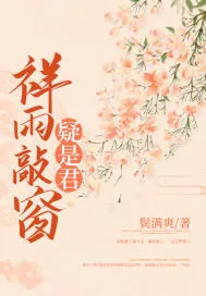 《祥雨敲窗疑是君》小说封面