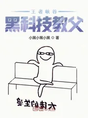 《王者峡谷黑科技教父》小说封面