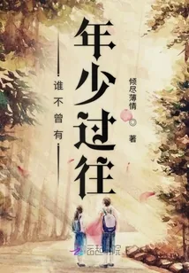 《谁不曾有年少过往》小说封面