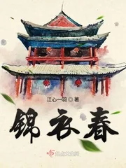 《锦衣春》小说封面