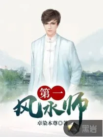 《第一风水师》小说封面