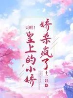 《天啦!皇上的小娇娇杀疯了》小说封面
